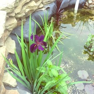 Meet your Posher, Marcy